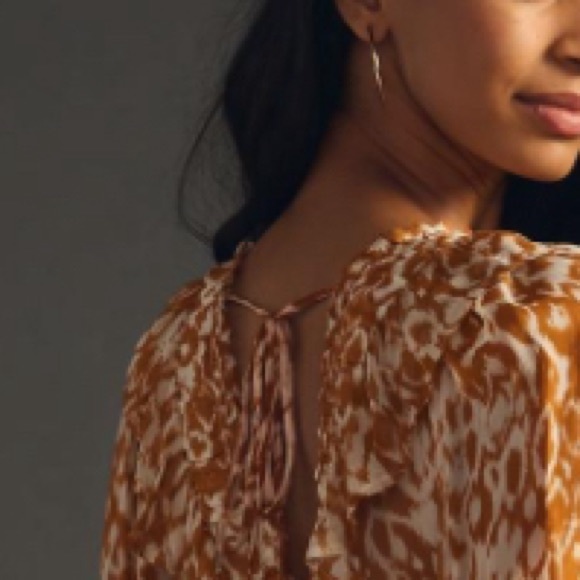 Anthropologie Odessa V-Neck Ruffle Dress - Picture 5 of 13